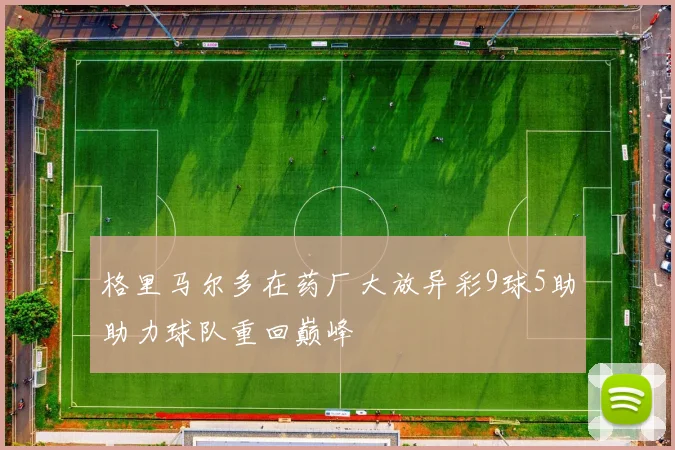 格里马尔多在药厂大放异彩9球5助助力球队重回巅峰