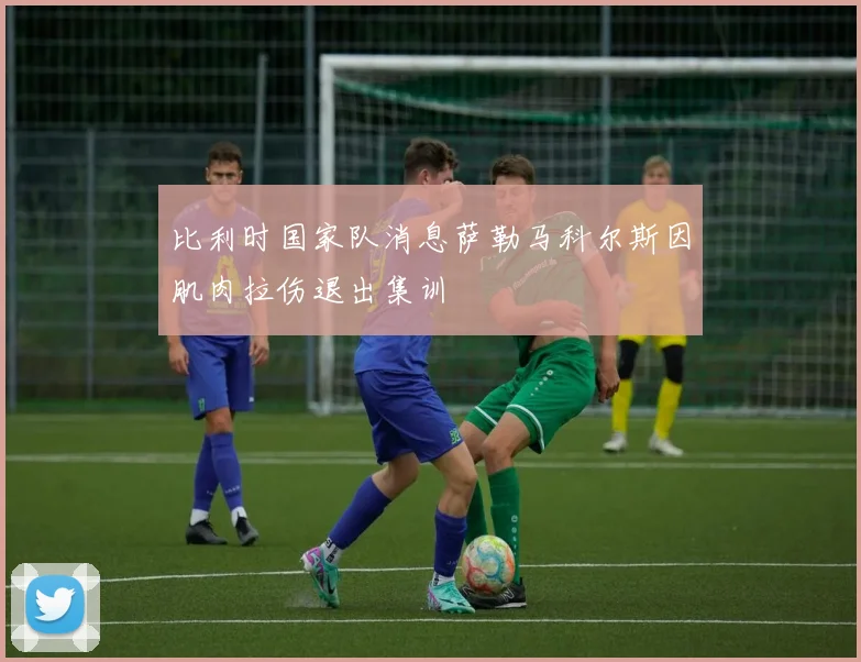 比利时国家队消息萨勒马科尔斯因肌肉拉伤退出集训
