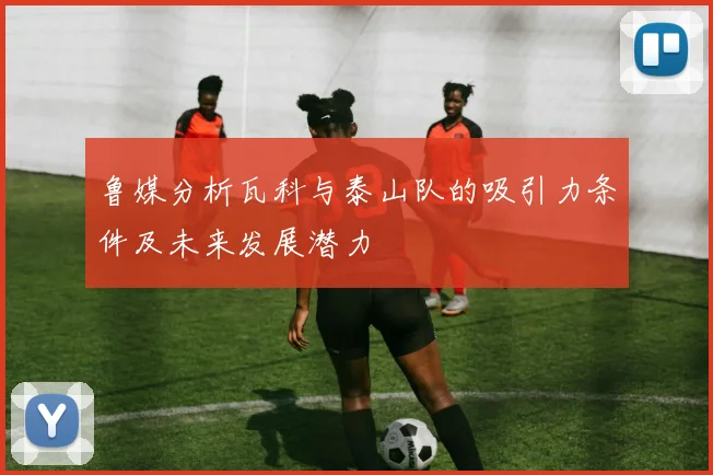 鲁媒分析瓦科与泰山队的吸引力条件及未来发展潜力