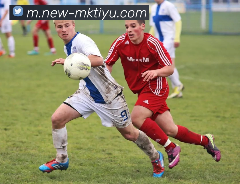 App Interface Preview