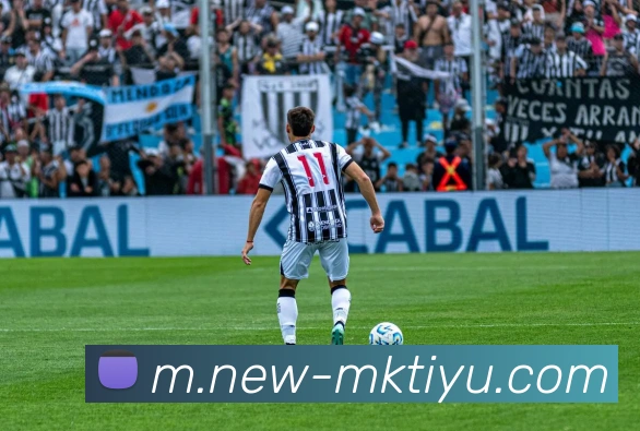 MK体育APP 封面图