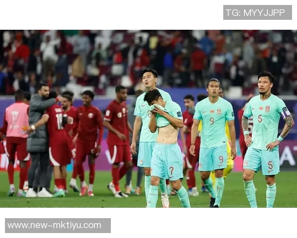 瑞典足协积极接触波特联赛重燃激情期待新赛季表现